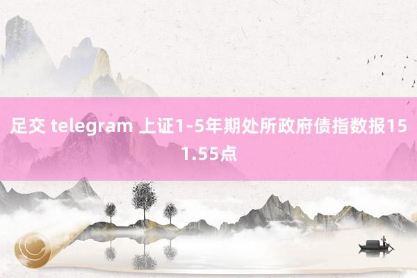 足交 telegram 上证1-5年期处所政府债指数报151.55点