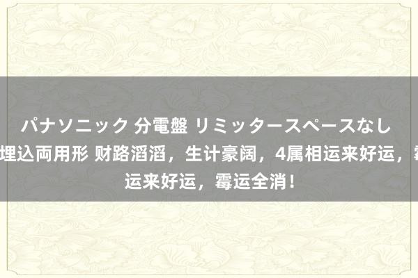 パナソニック 分電盤 リミッタースペースなし 露出・半埋込両用形 财路滔滔，生计豪阔，4属相运来好运，霉运全消！