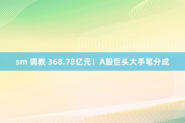 sm 调教 368.78亿元！A股巨头大手笔分成
