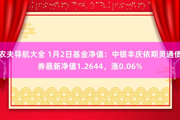 农夫导航大全 1月2日基金净值：中银丰庆依期灵通债券最新净值1.2644，涨0.06%