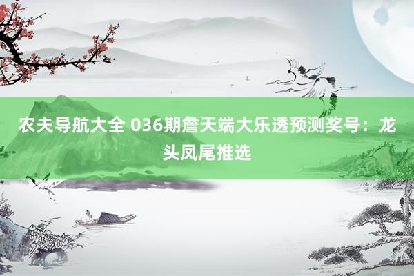农夫导航大全 036期詹天端大乐透预测奖号：龙头凤尾推选