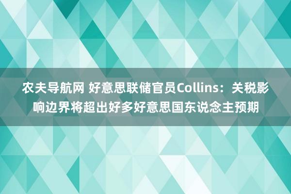 农夫导航网 好意思联储官员Collins：关税影响边界将超出好多好意思国东说念主预期