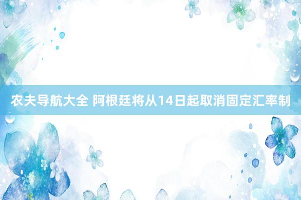 农夫导航大全 阿根廷将从14日起取消固定汇率制