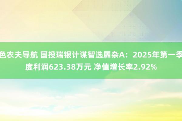 色农夫导航 国投瑞银计谋智选羼杂A：2025年第一季度利润623.38万元 净值增长率2.92%