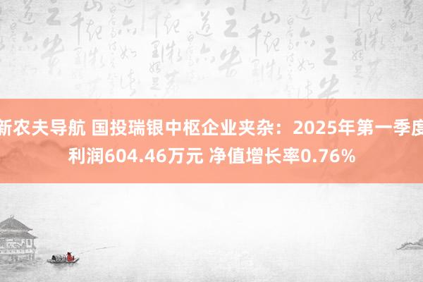 新农夫导航 国投瑞银中枢企业夹杂：2025年第一季度利润604.46万元 净值增长率0.76%