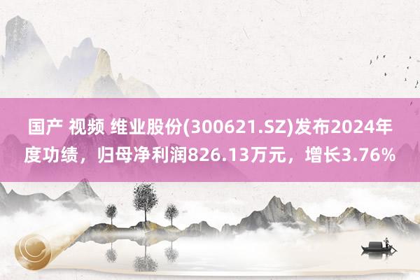 国产 视频 维业股份(300621.SZ)发布2024年度功绩，归母净利润826.13万元，增长3.76%