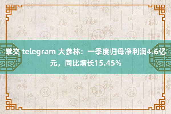 拳交 telegram 大参林：一季度归母净利润4.6亿元，同比增长15.45%