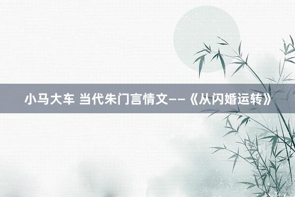 小马大车 当代朱门言情文——《从闪婚运转》