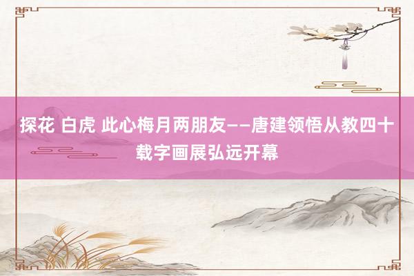 探花 白虎 此心梅月两朋友——唐建领悟从教四十载字画展弘远开幕